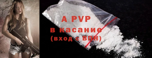 скорость Саки