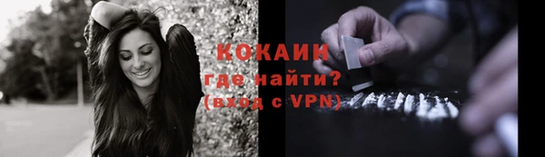 стаф Арсеньев
