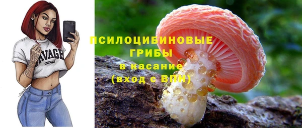 spice Алексеевка